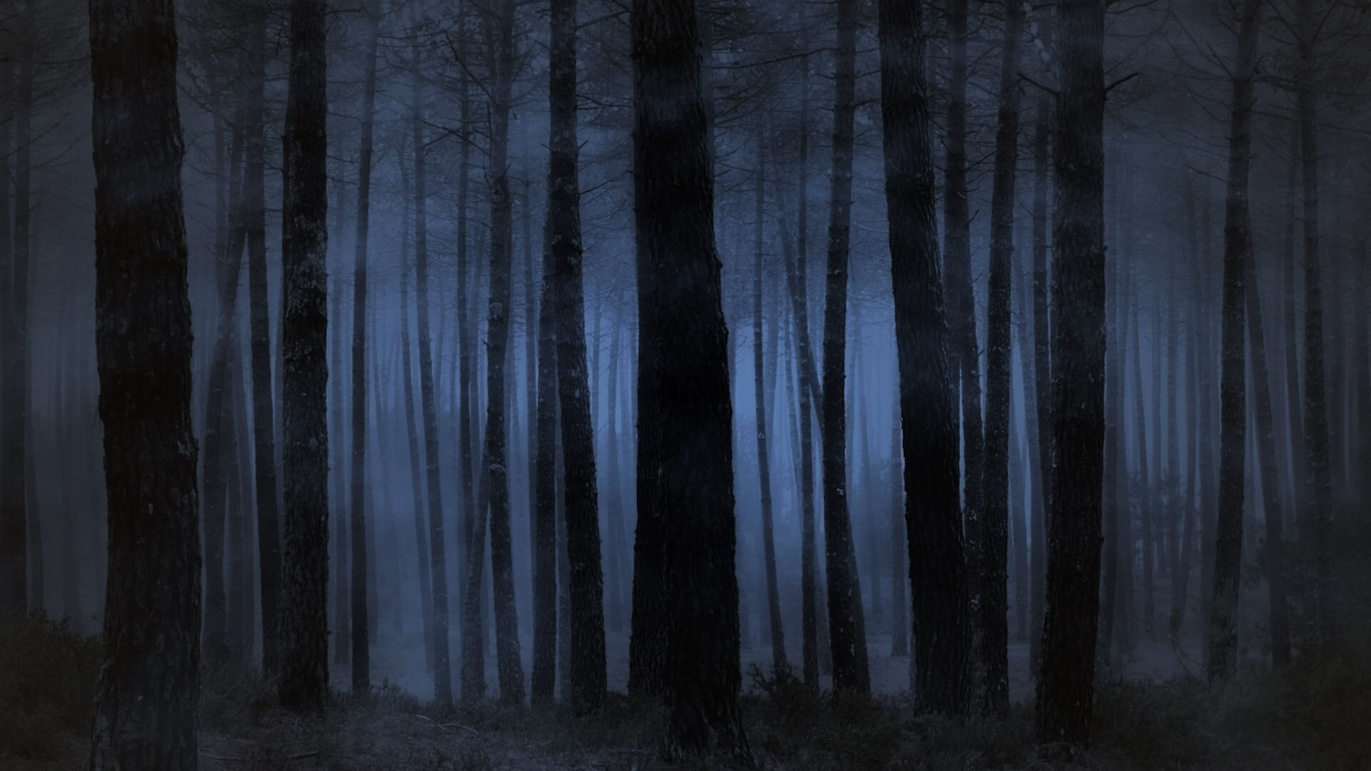 Folklore